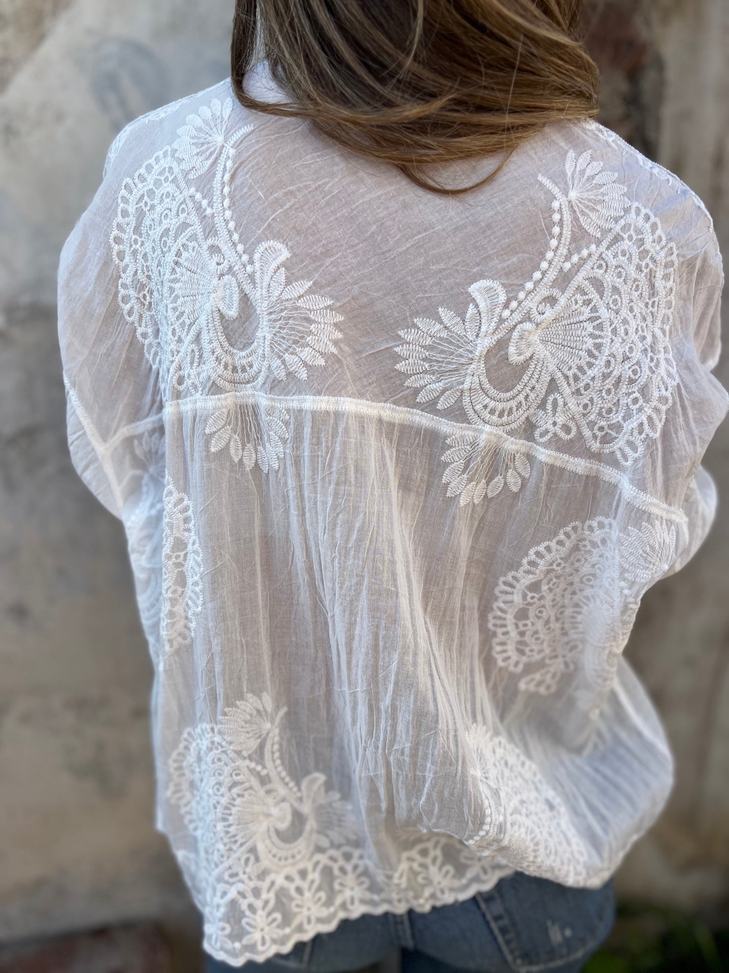 Vivian | Women's Lace Blouse Long Sleeve Button Down Embroidered Top – Lace Detail, Long Sleeve